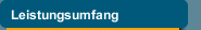 Leistungsumfang